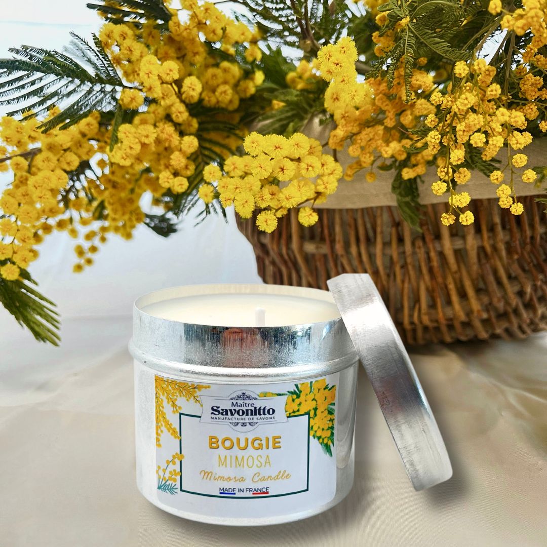 Bougie Mimosa