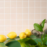 savon forme de citron