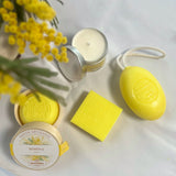 Gamme Mimosa