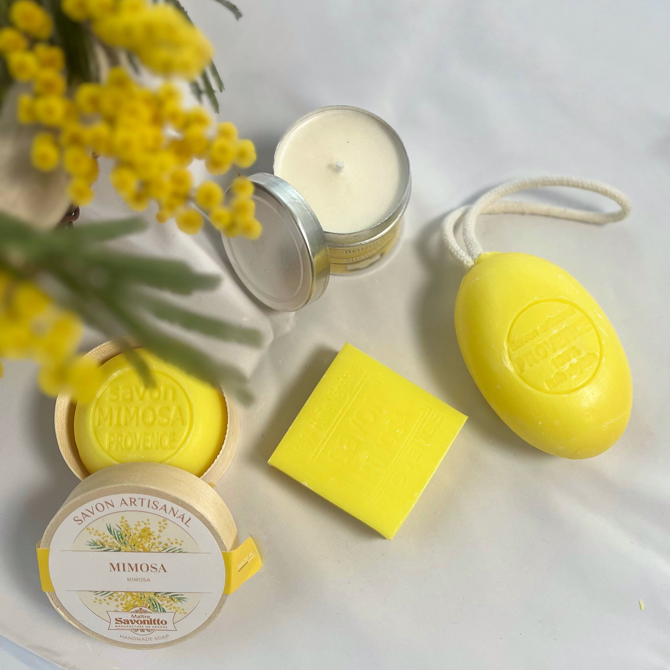 Gamme Mimosa
