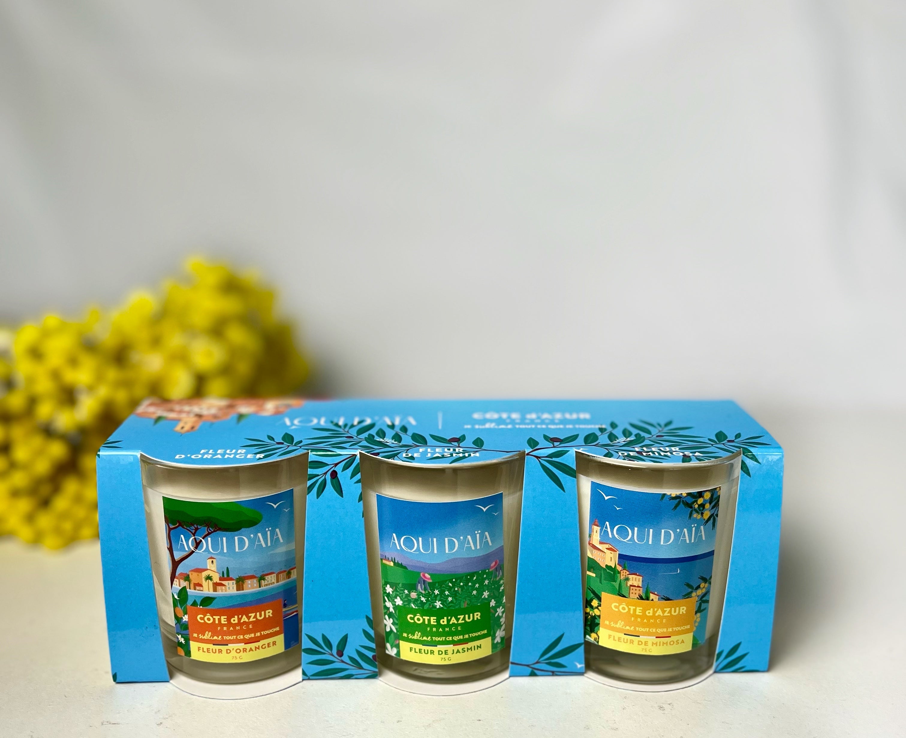 Image de diapositive